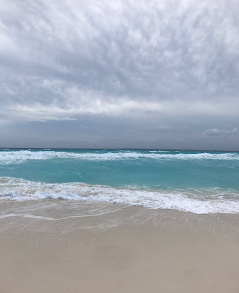 Meet your Posher, Rose